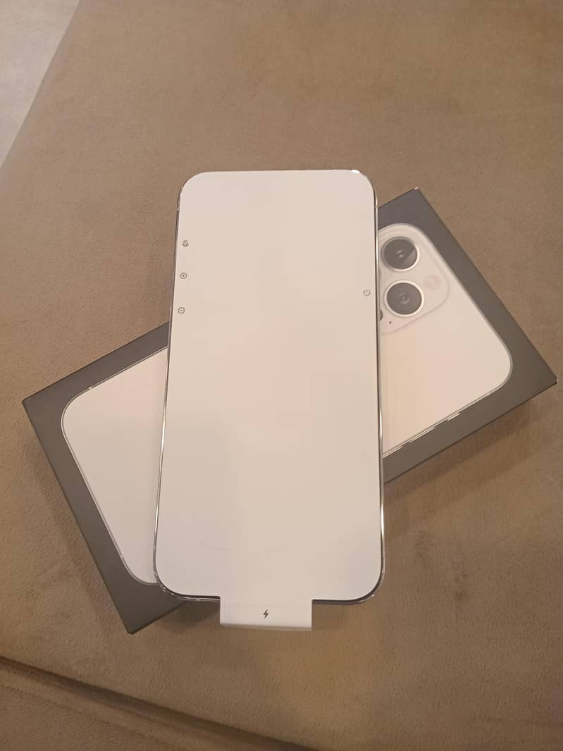 Apple iPhone 13 Pro Max 1