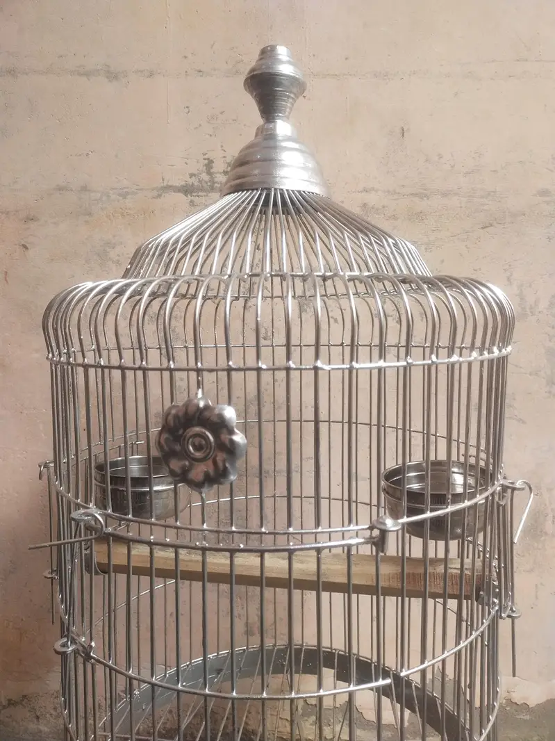 Big parrot cage