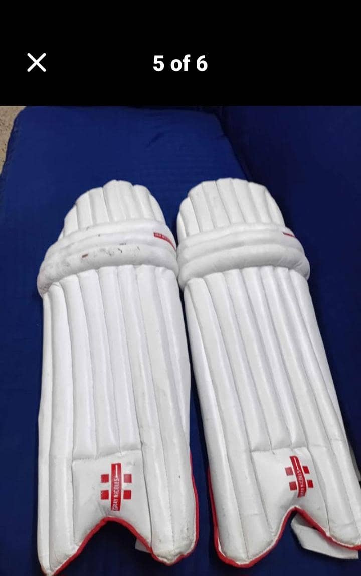 Cricket kit 1