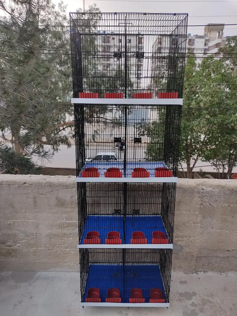 Folding Cages
