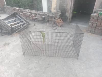 Cage for sale 4 by 2 by 2