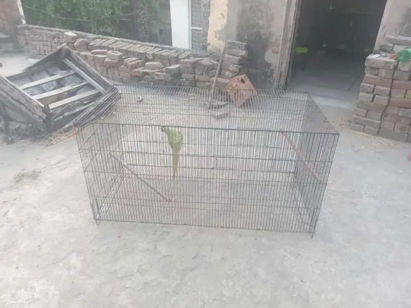 Cage for sale 4 by 2 by 2
