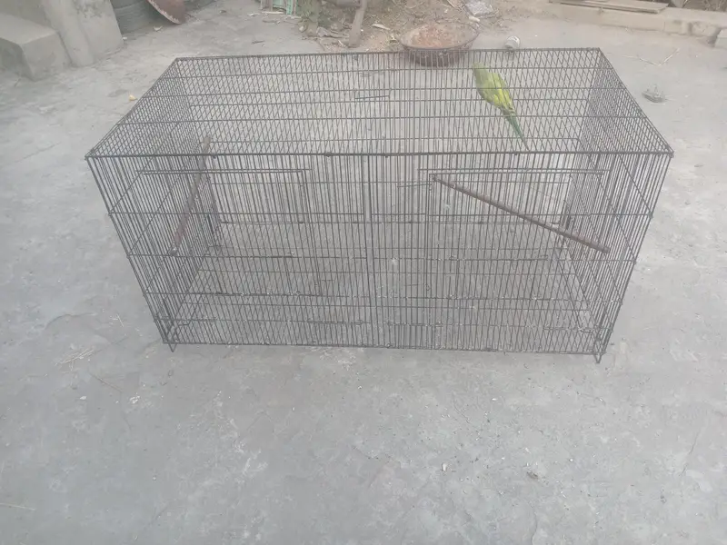 Cage for sale 4 by 2 by 2 — photo 4