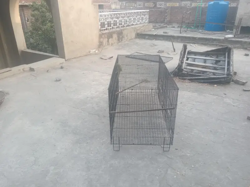 Cage for sale 4 by 2 by 2 — photo 5