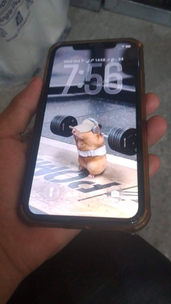 Apple iPhone 11 1