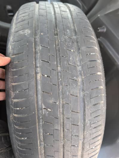 Bridgestone 185 55 R16 (2025)