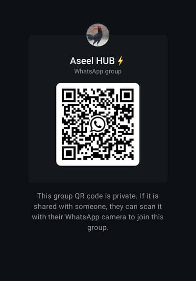 Aseel group for aseel sale and purchase
