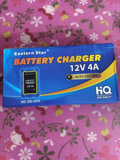 Eastern star smart battery charger for car and bike