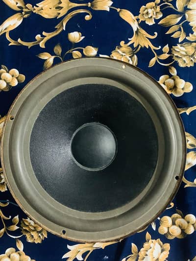 10 inch feilo speaker.