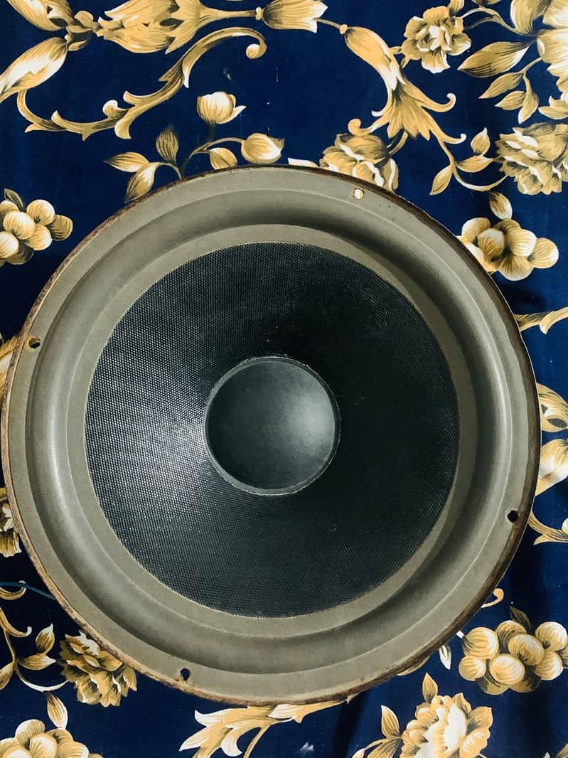 10 inch feilo speaker. 0