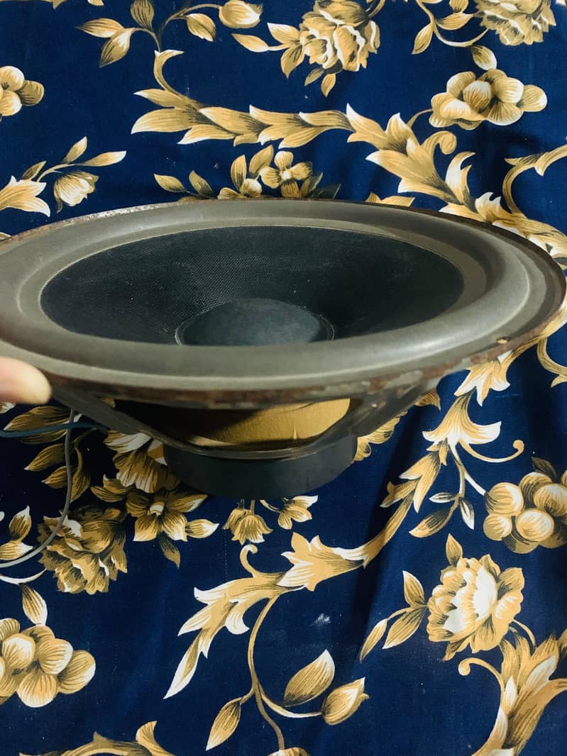 10 inch feilo speaker. 3
