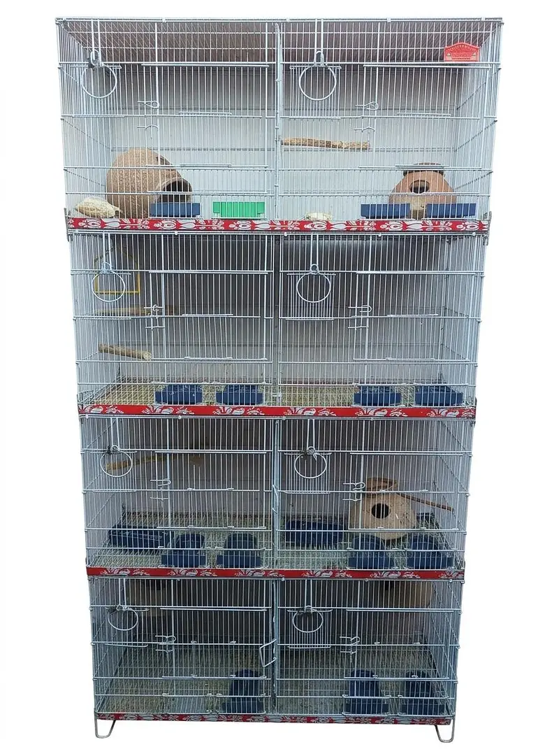 Birds cage