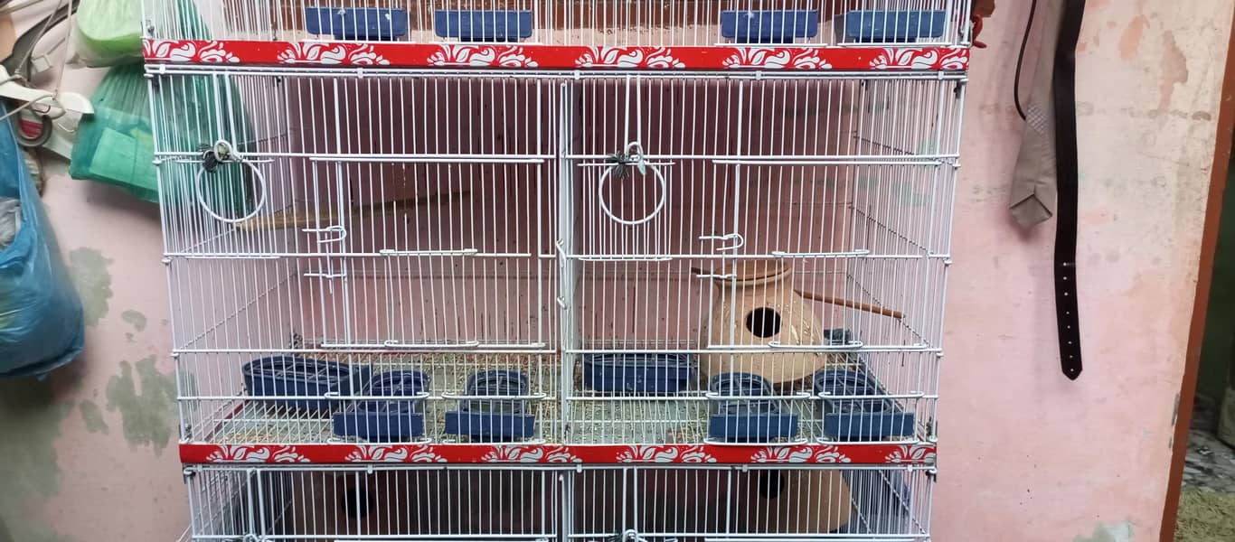 Birds cage 2