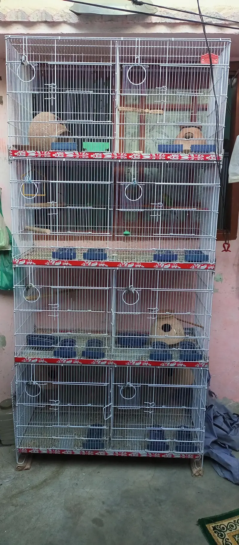 Birds cage — photo 6