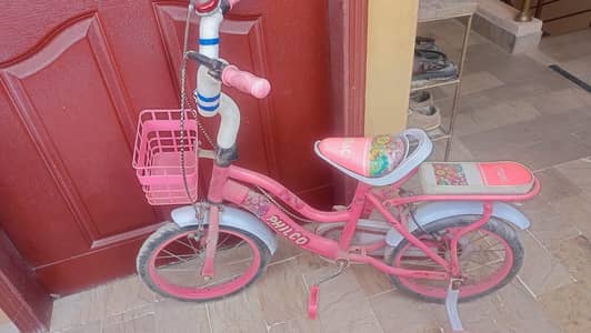 Pink Cycle