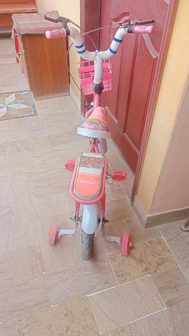 Pink Cycle 1
