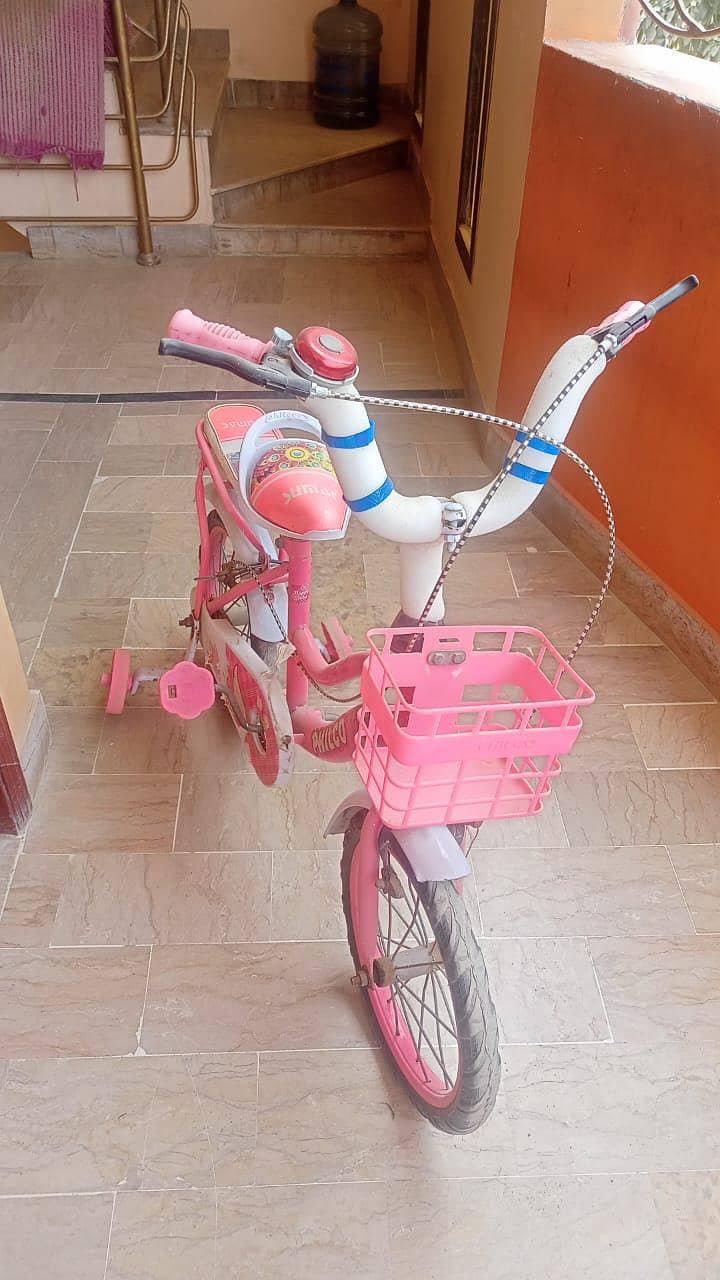 Pink Cycle 2