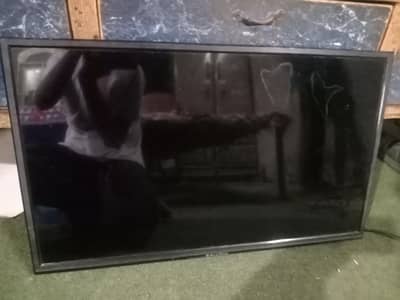 LED for sale