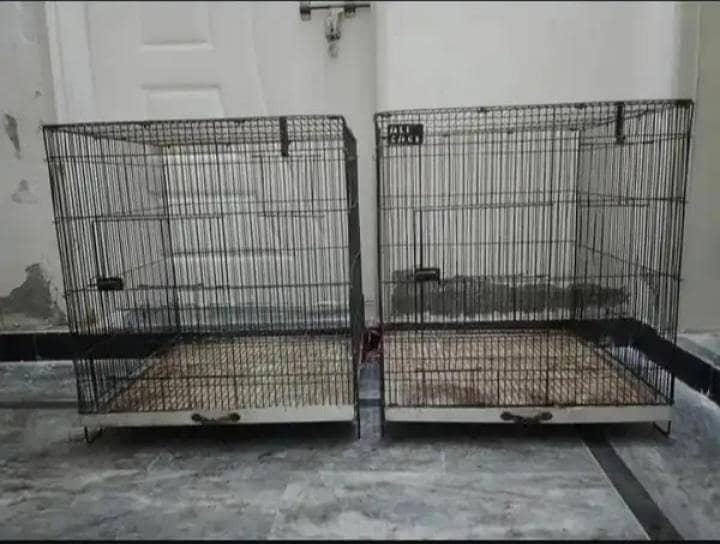 parrots,cages,pegions 5