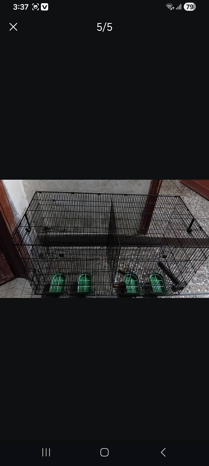 parrots,cages,pegions 6