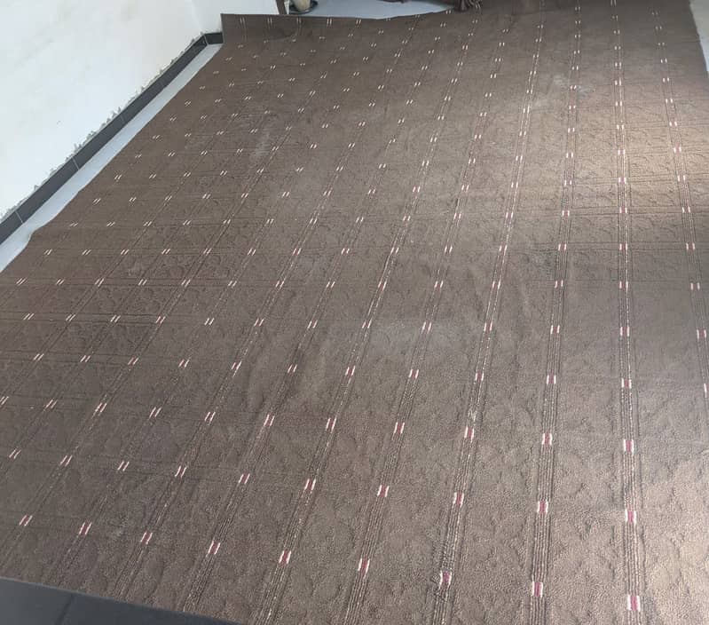 Carpet 0