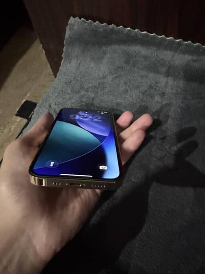 iPhone 13 Pro