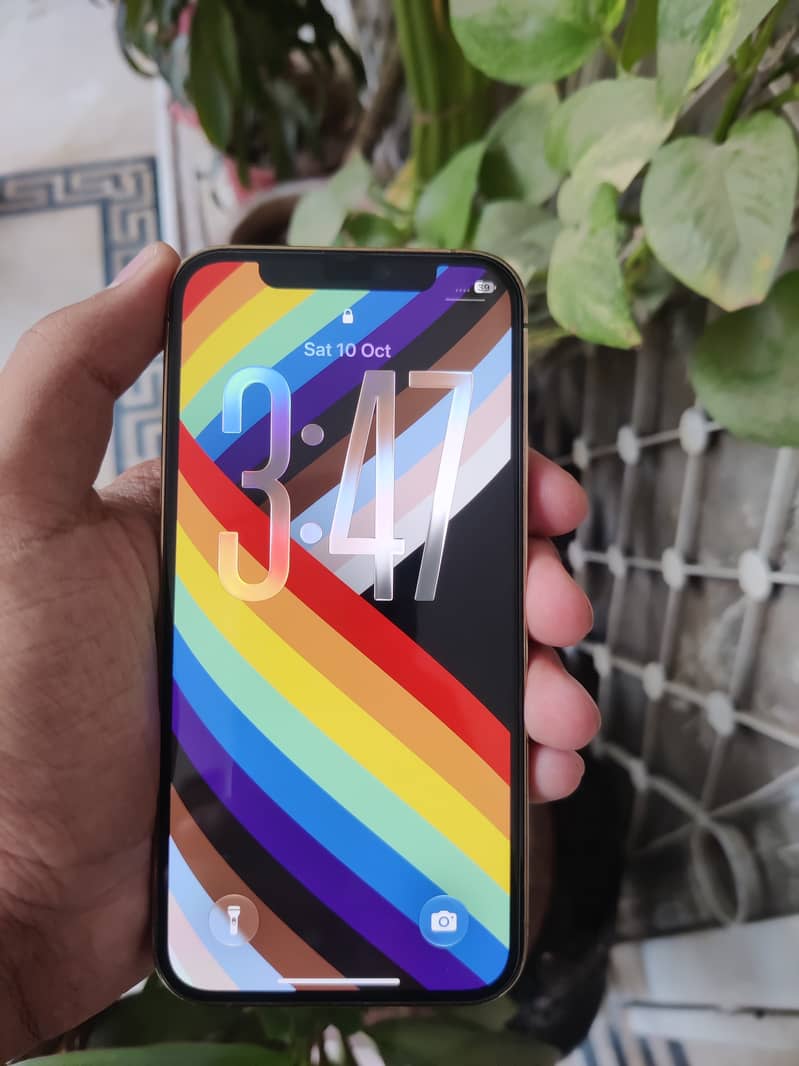 iPhone 12 Pro 1
