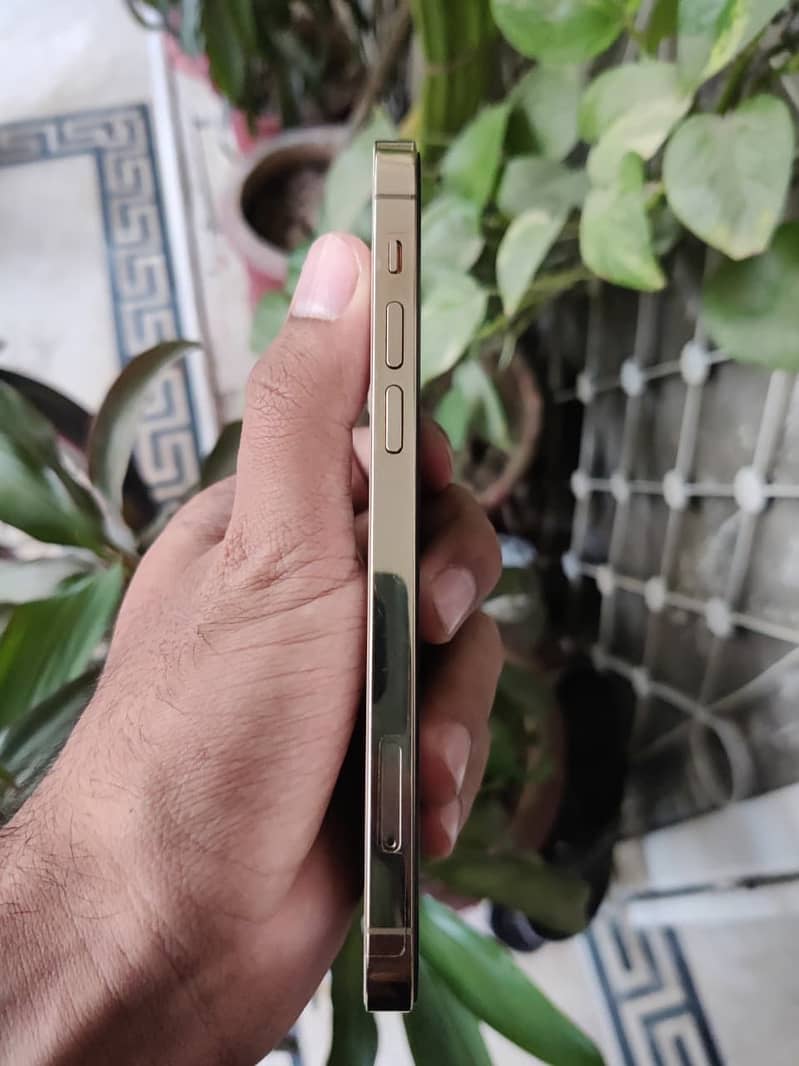 iPhone 12 Pro 3