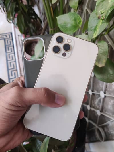 iPhone 12 Pro
