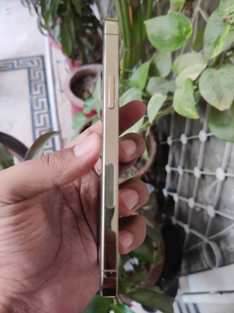 iPhone 12 Pro 4