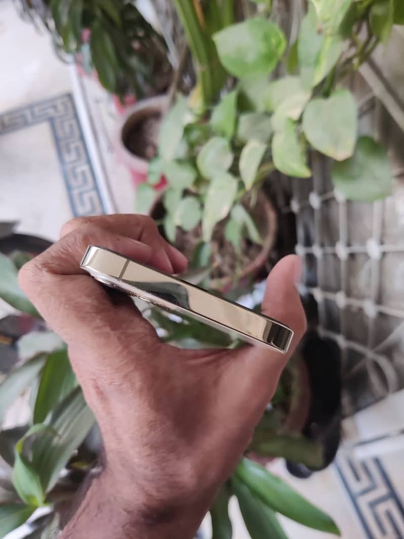 iPhone 12 Pro 5