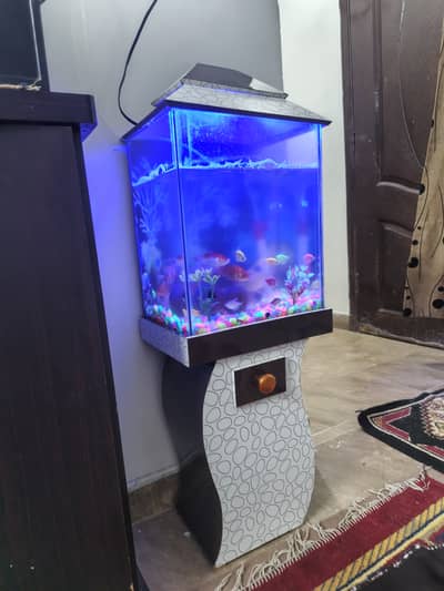 Fish aquarium