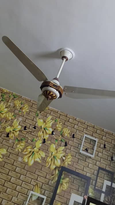 celling fan