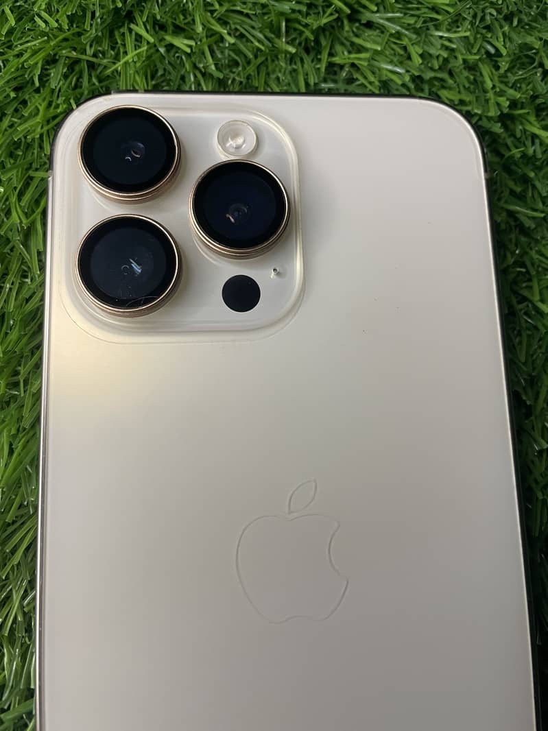 Apple iPhone 14 Pro Max 1