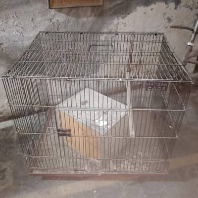 Parrots Cages