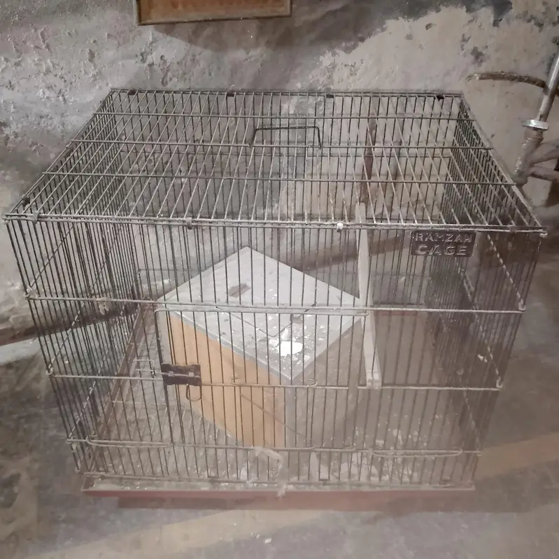 Parrots Cages