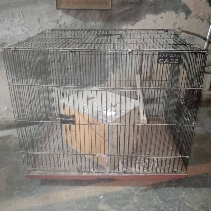 Parrots Cages 1
