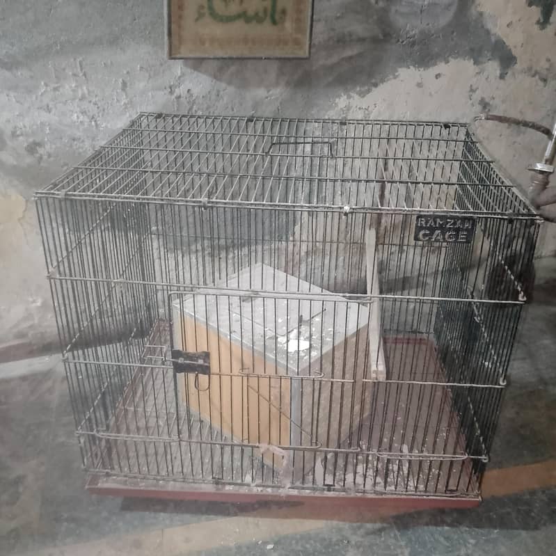 Parrots Cages 2