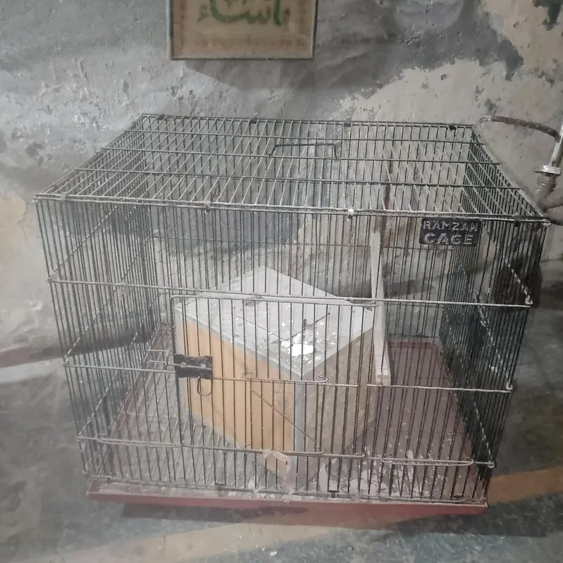 Parrots Cages — photo 3