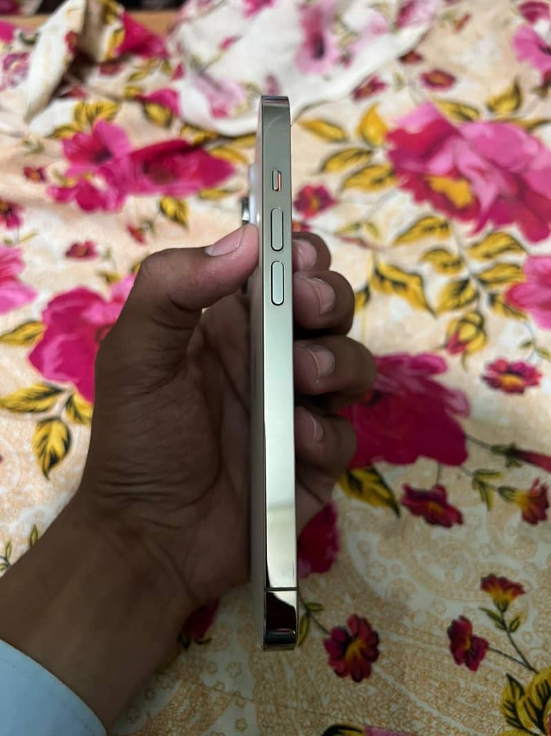 Apple iPhone 14 Pro 1