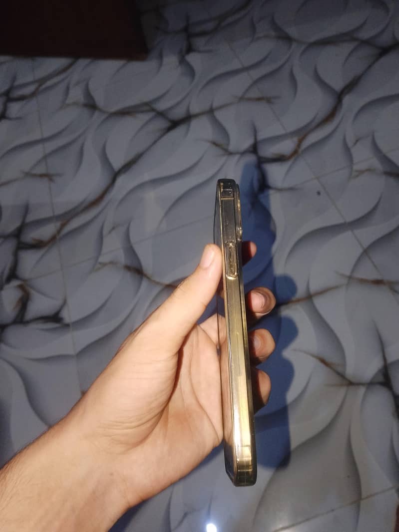 Apple iPhone 12 Pro Max 2