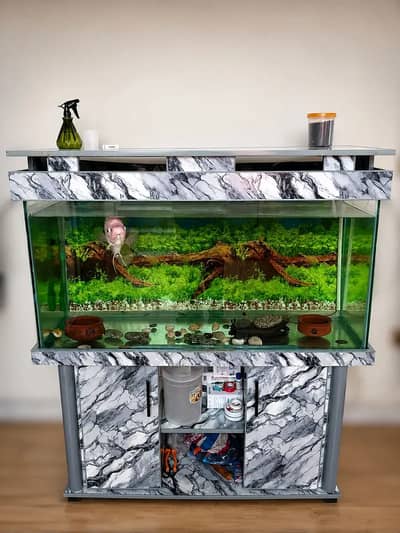 Almost new 4 Feet 8mm glass Aquarium with Accessories