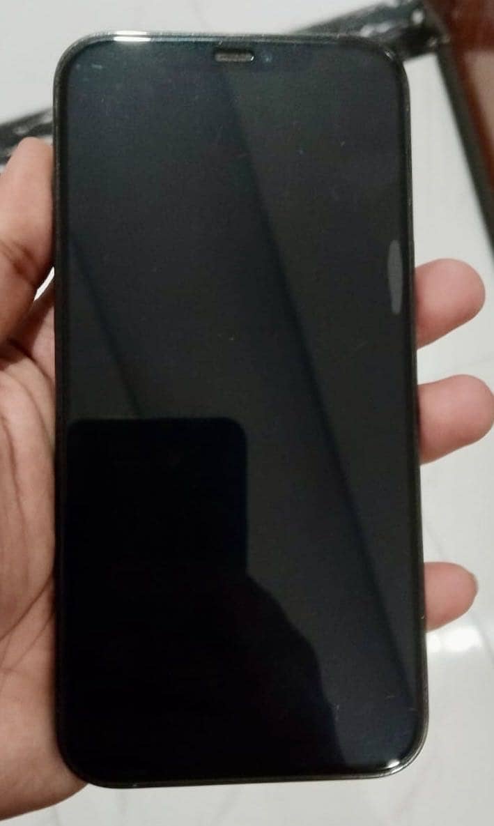 Apple iPhone 12 Pro Max 1
