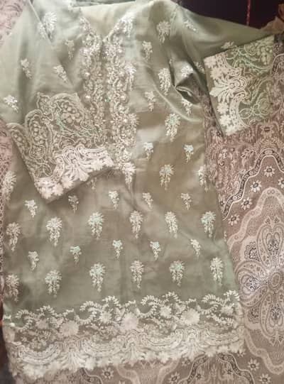 beautiful drees tissue mn