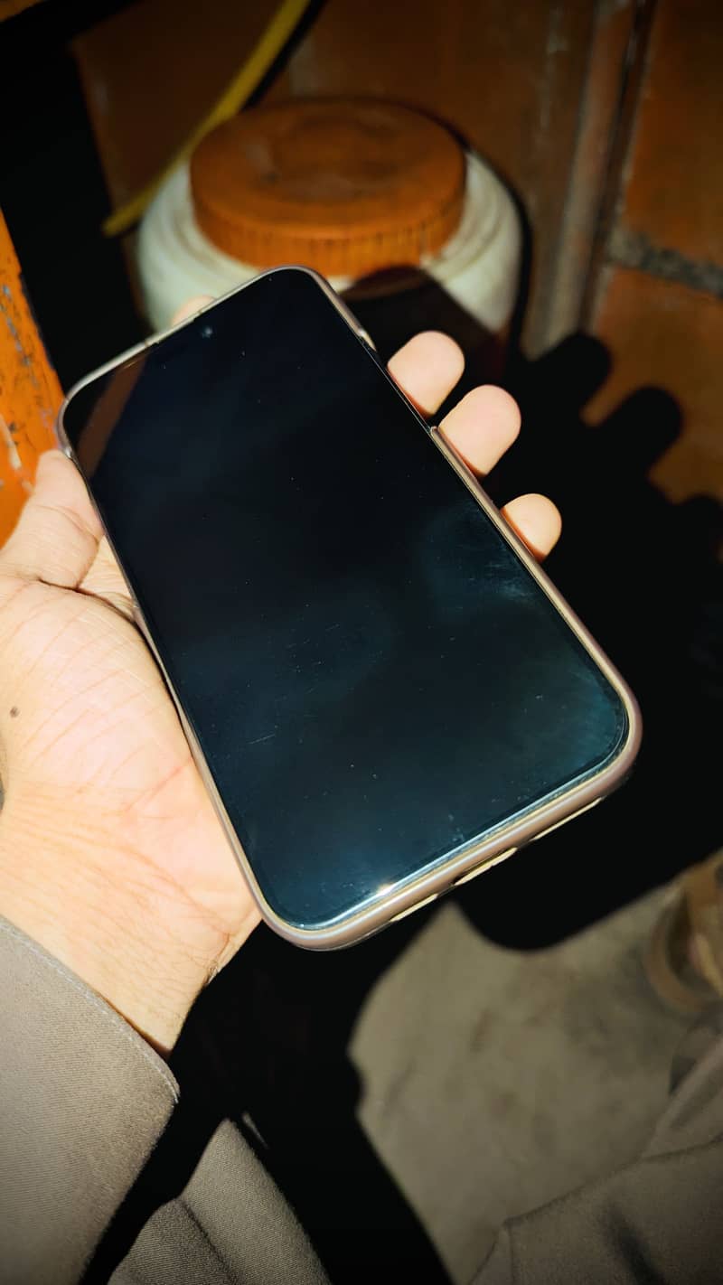 Apple iPhone 14 Pro Max 13