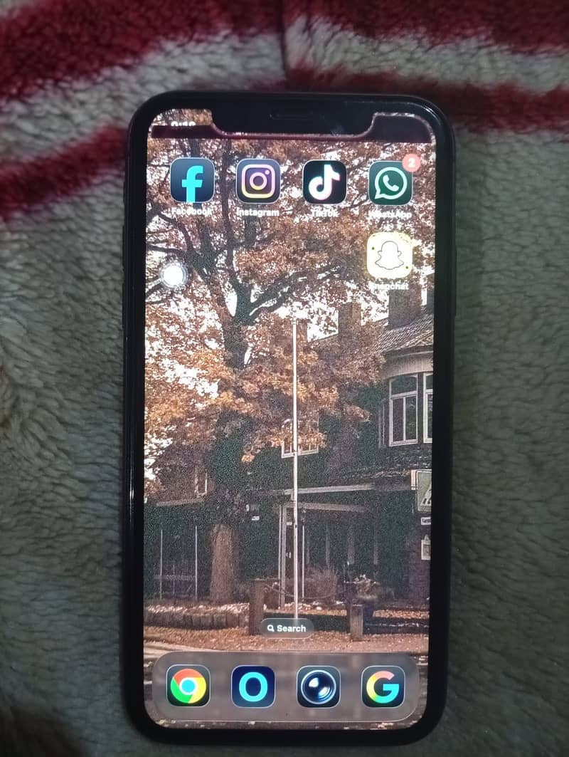 Apple iPhone 11 1