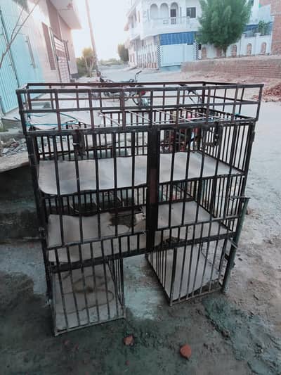 sale Man ke liye jungla hy