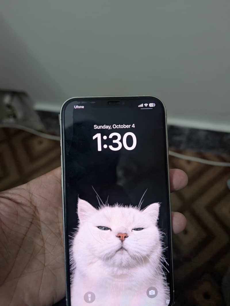 Apple iPhone 12 Pro Max 6
