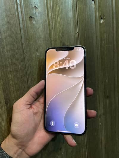 Apple iPhone 12 Pro Max Dual Pta
