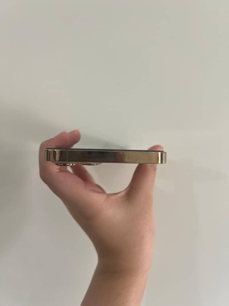 Apple iPhone 12 Pro Max 3